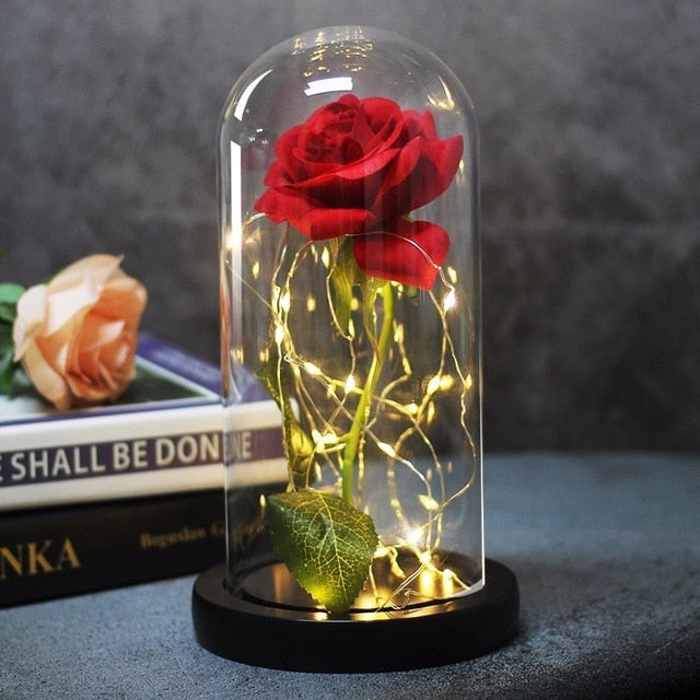 <transcy>La Bella y La Bestia rosa en el matraz Rosa LED flor luz negro Base cúpula de cristal mejor para el día de la madre regalo del Día de San Valentín</transcy>